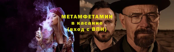 индика Аркадак