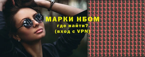 индика Аркадак
