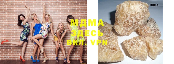 индика Аркадак