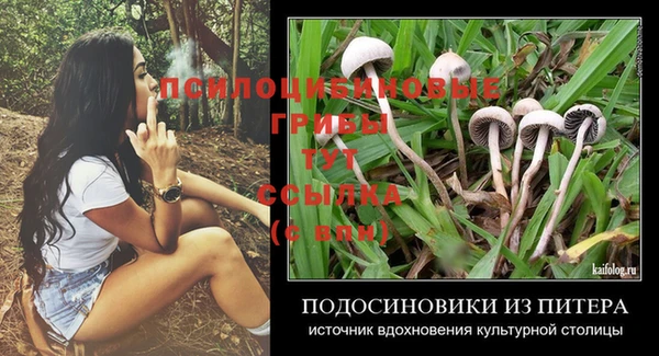 индика Аркадак