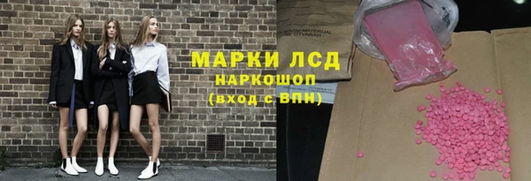 индика Аркадак