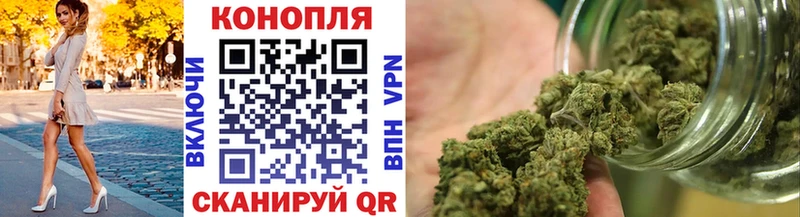 Каннабис индика  Починок 